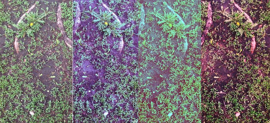 L to R: Original photo, Time Matrix examples - 1960 Vertigo, 1970 Overdue, 1980 Slasher