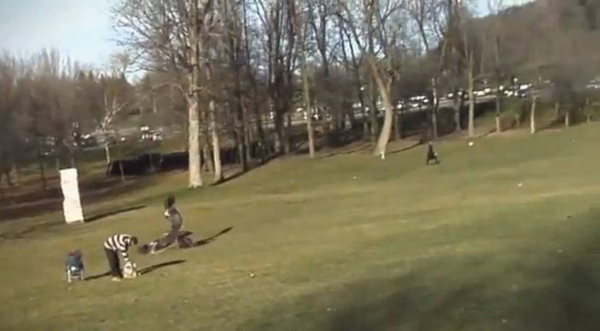 Eagle Picks up Baby in Montreal